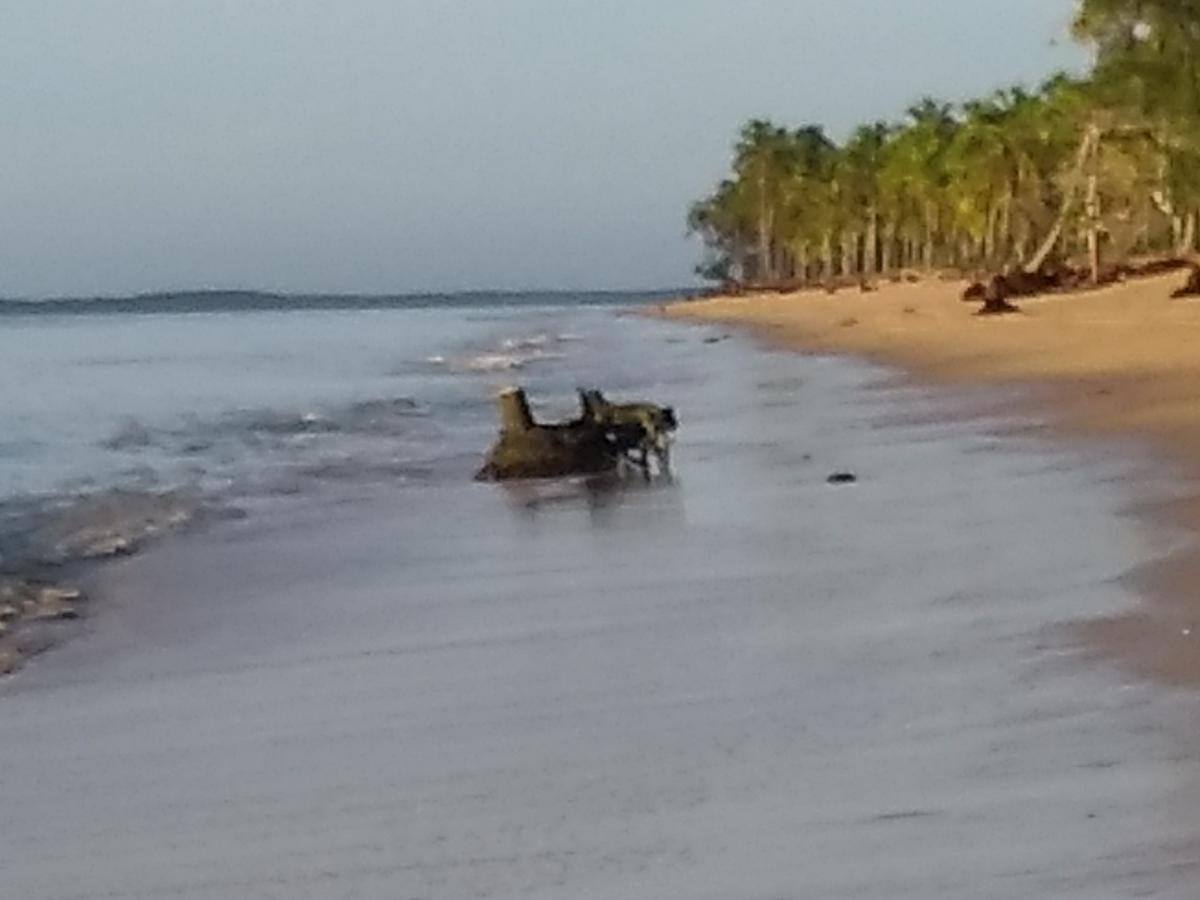Pousada Das Sereias Caravelas Exterior foto